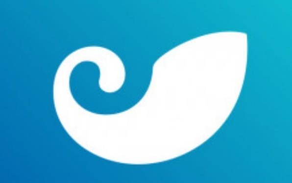 评测风险公司